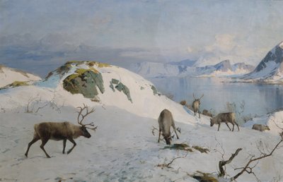 Reindeer by the Sea by Even Ulving