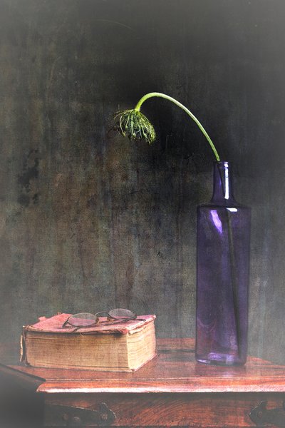 Wilted Bloom and Book by Eyal Amer