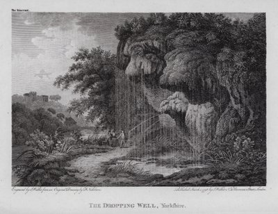 The Dropping Well, Yorkshire by F. (after) Nicholson