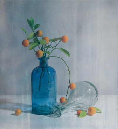 Citrus Blue Bottles by Fangping Zhou