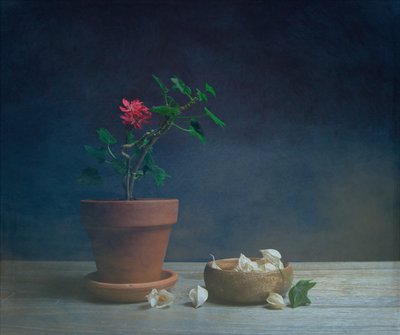 Moody Potted Flower by Fangping Zhou