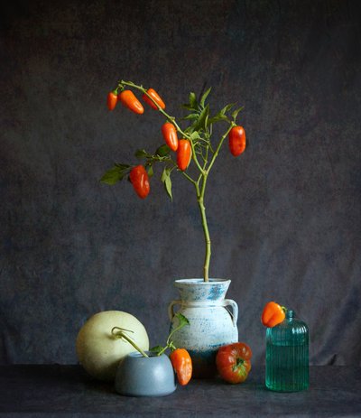 Orange Tomatoes Rustic Still Life by Fangping Zhou