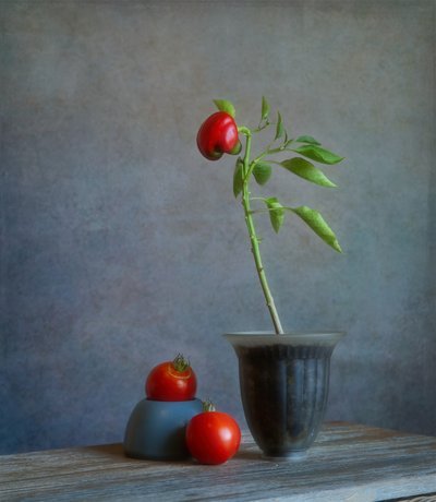 Red Pepper Still Life by Fangping Zhou