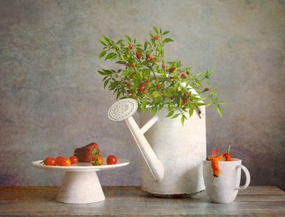 Rustic Chili Pepper Harvest by Fangping Zhou