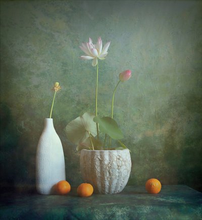 Serene Lotus Still Life by Fangping Zhou