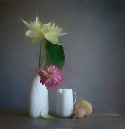 Soft Lotus Still Life by Fangping Zhou
