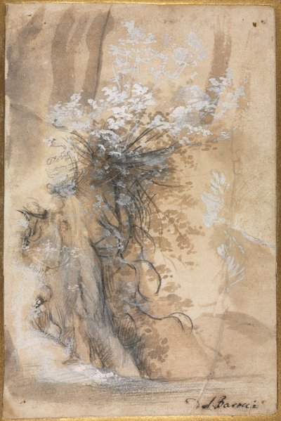 Flowering Bush above an Eroded Bank by Federico Barocci