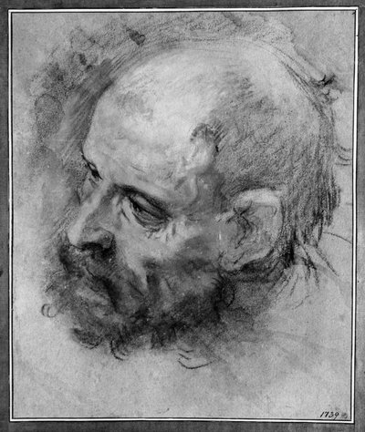 Head Study of a Bearded Man Turned to the Left and Inclined to the Side by Federico Barocci