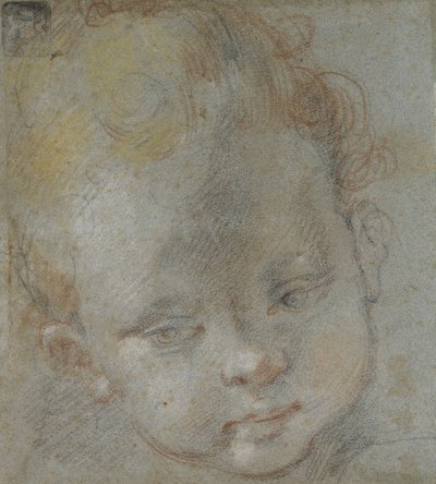 Head of a Child by Federico Barocci