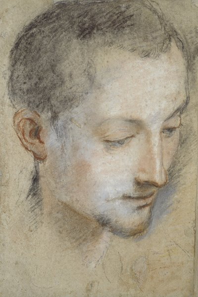 Study of a Young Man