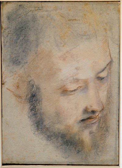 Study of Head - Drawing by Barocci by Federico Barocci
