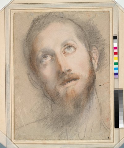 Study for the Head of Christ by Federico Fiori Barocci or Baroccio