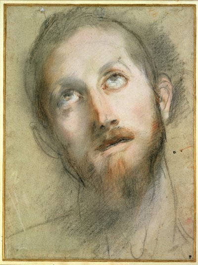 Study for the Head of Christ by Federico Fiori Barocci or Baroccio