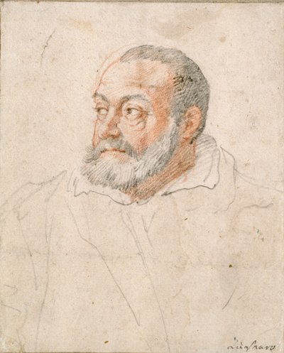 Portrait of a Man, Barozzi da Vignola by Federico Zuccaro