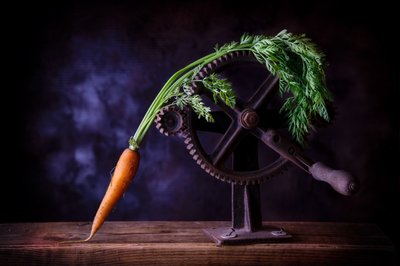 Carrot and Iron Gears by Felice Angelino