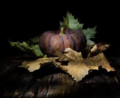 Dark Autumn Pumpkin by Felice Angelino