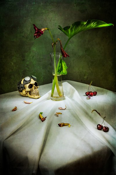 Gothic Skull Vanitas by Felice Angelino