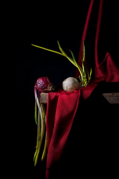 Moody Sprouting Onions by Felice Angelino