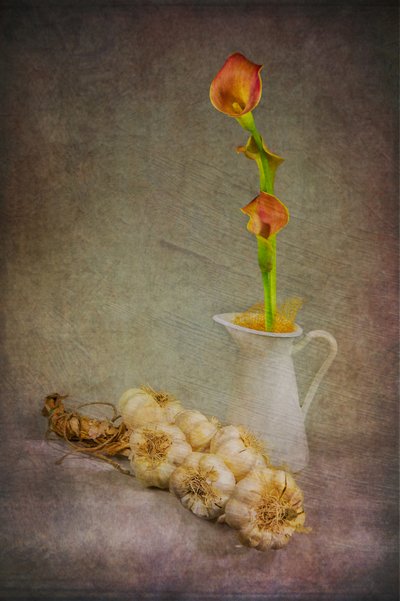 Rustic Garlic Calla Lilies by Felice Angelino