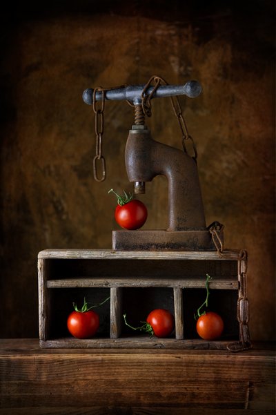 Rustic Tomato Press by Felice Angelino