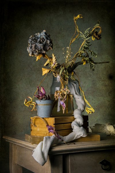 Vintage Dried Still Life by Felice Angelino
