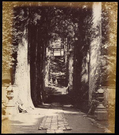 Avenue of Trees Leading to a Temple in Hakoni by Felice Beato
