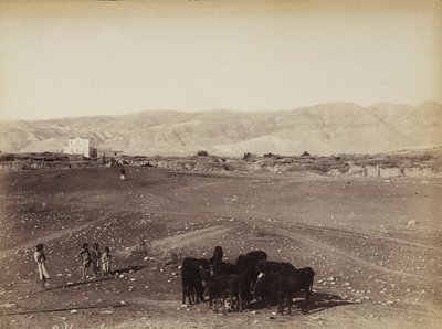 A Rocky Area with Children and Grazing Animals, Egypt by Félix Bonfils