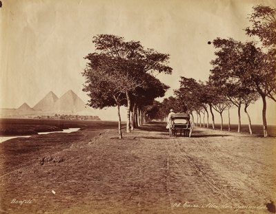 Cairo. Avenue of Pyramids by Félix Bonfils