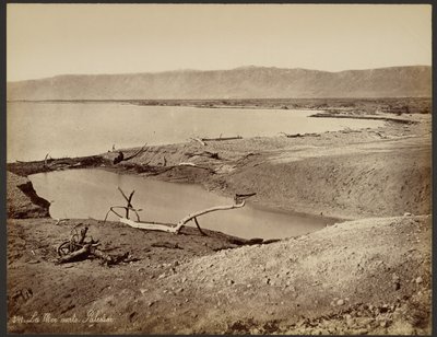 The Dead Sea, Palestine by Félix Bonfils