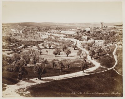 Valley of ... Palestine #313 by Félix Bonfils