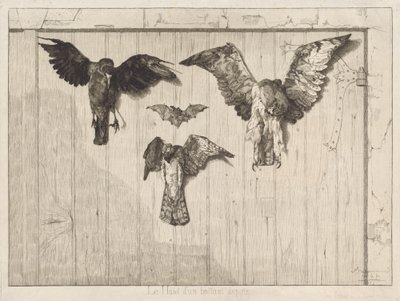 Birds Nailed to a Barn Door by Felix Bracquemond