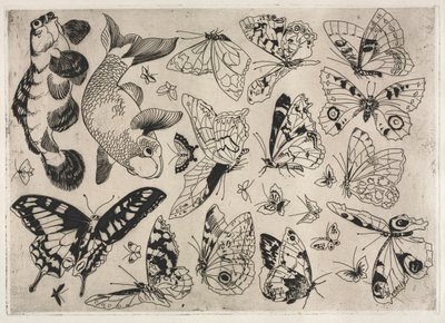 Dinner Service Rousseau service: Butterflies and Fish no. 16, 1866 by Felix Bracquemond