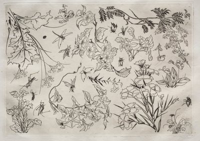 Dinner Service Rousseau Service: Flowers No. 22 by Felix Bracquemond
