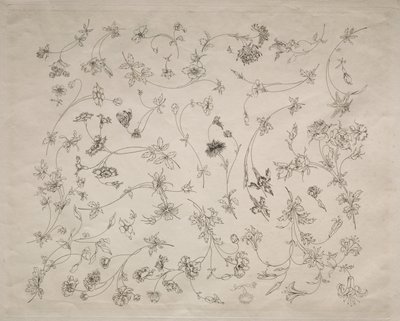 Flower Designs for Plates and Borders No. 14, 1872 by Felix Bracquemond
