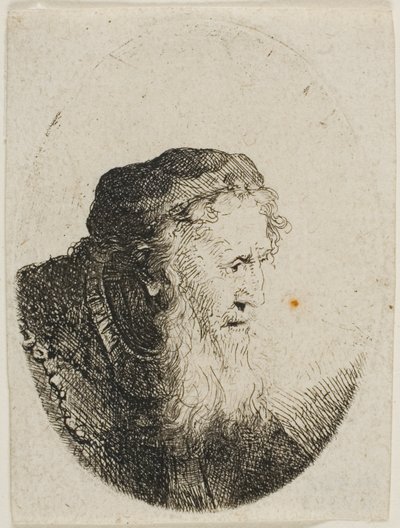 Bearded Old Man in a Skull Cap by Ferdinand Bol
