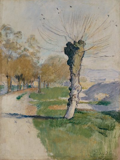 Willow Tree at the Junction, or Willow Tree in Spring, c.1885 by Ferdinand Hodler