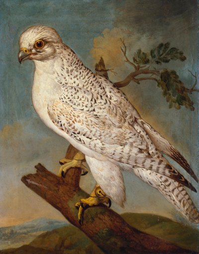 A Falcon on a Branch by Ferdinand Phillip de Hamilton