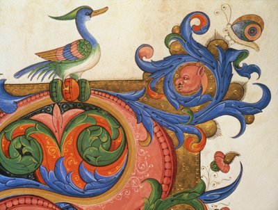 Zoomorphic Foliage with Duck-like Bird and Butterfly (detail) by Filippo di Matteo Torelli