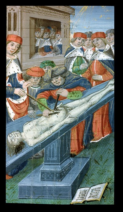 Dissection, from De Medina Fen I. II, by Avicenna (980-1037) by Flemish School