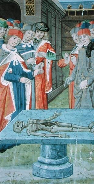 Ms Hunter 9 f.12v Dissection, from 