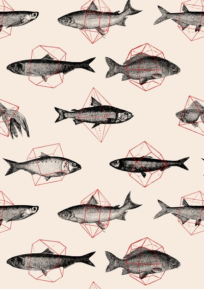 Fishes in Geometrics by Florent Bodart