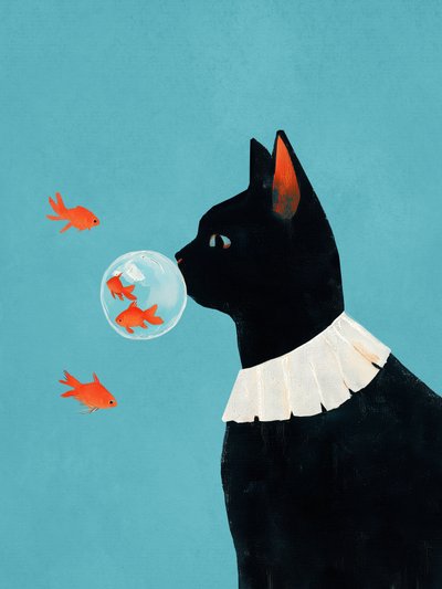 Curious Cat Goldfish Dream by Flow Line