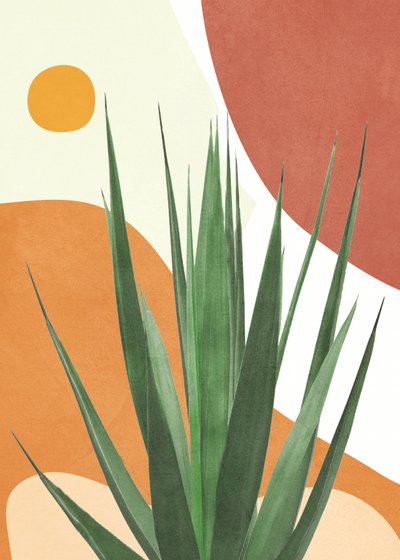 Modern Desert Agave by Flow Line