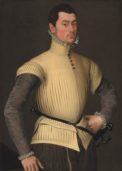 Portrait of a Young Man by Follower of Antonis Mor