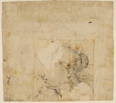 Female Head in Profile to the Left; Sketch of Trees and Building by Follower of Jacopo Bassano