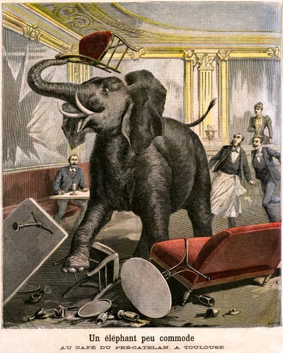 An Uncomfortable Elephant: The Pachyderm Escapes from a Circus Menagerie and Breaks Everything in the Cafe of Pre-Catelan in Toulouse by Fortune Louis and Meyer Henri  Meaulle