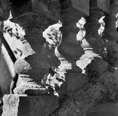 Detail of a Balustrade at Villa Bonocore Maletto Palermo by Fosco Maraini