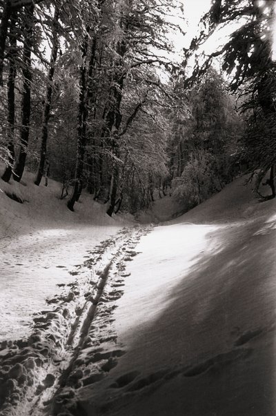 Silence and Mystery by Fosco Maraini