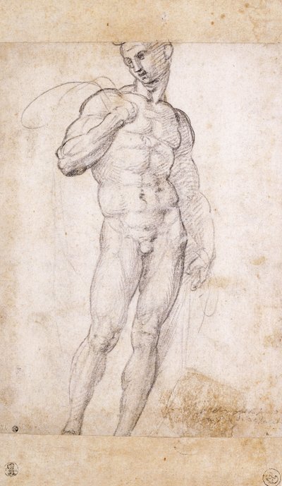 A Nude holding a Cape over his Shoulders by Fra Bartolomeo
