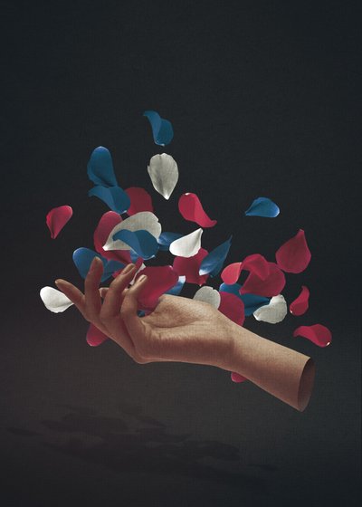 Elegant Hand Floating Petals by Fran Rodríguez